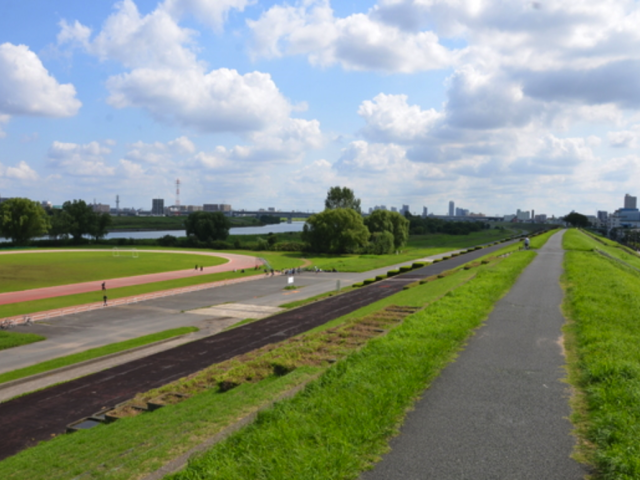 アイランドフラットUME（ウメ）